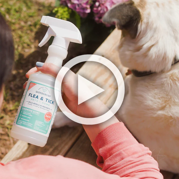 16 oz. Flea & Tick Spray for Pets + Home - Image 4