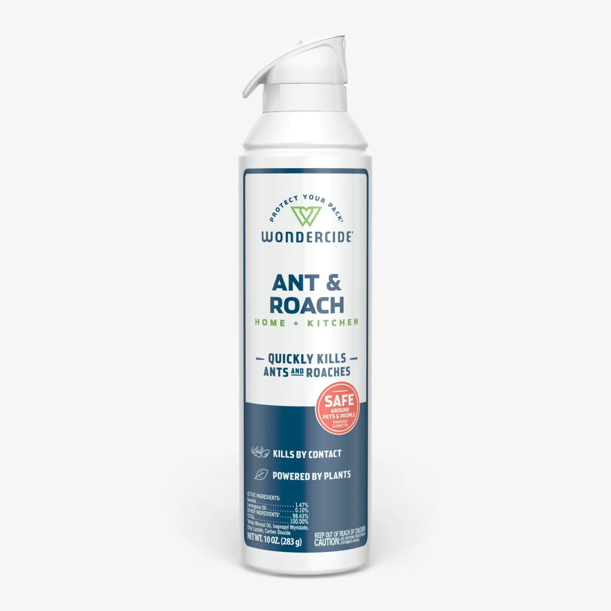 Ant & Roach for Home + Kitchen - Image 5