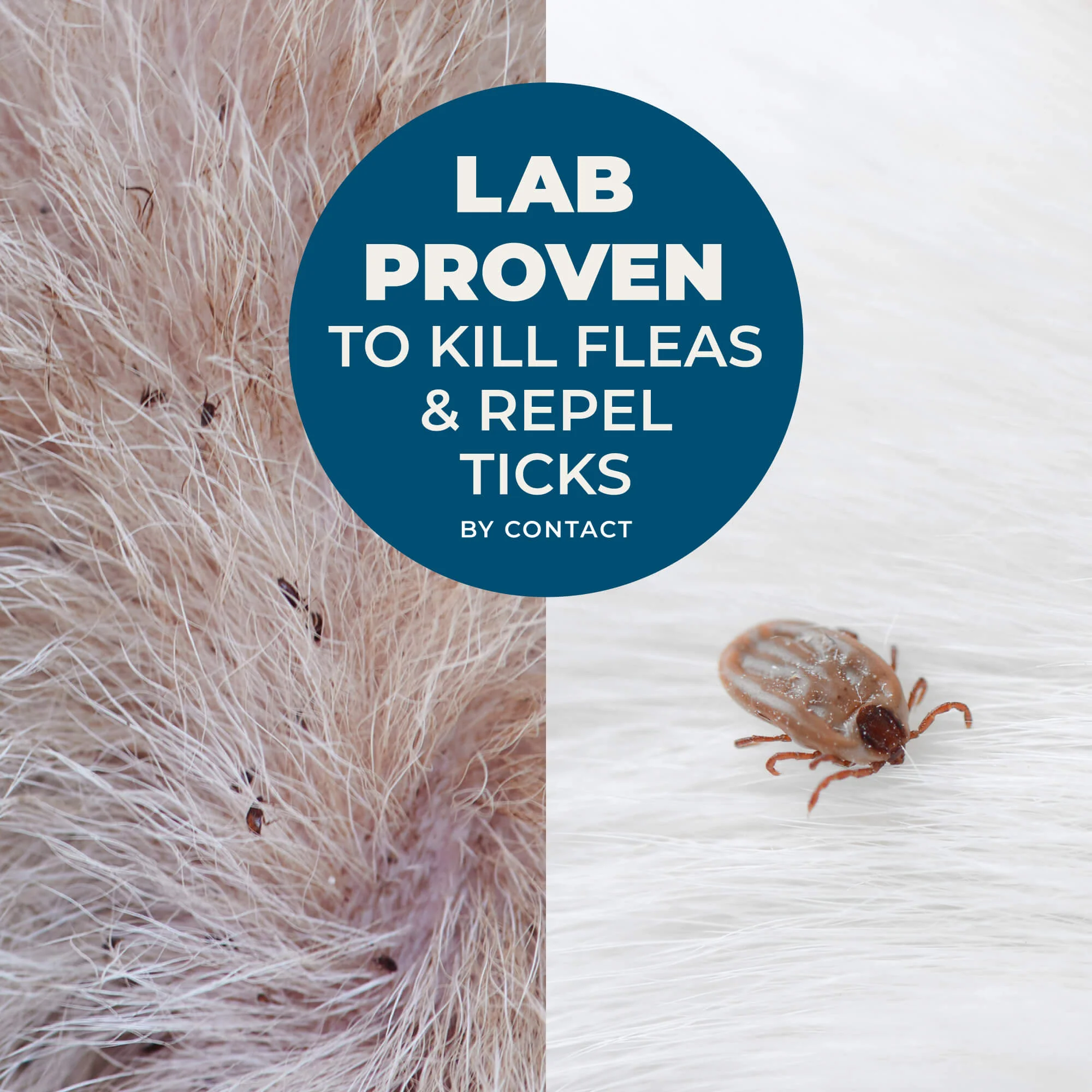 Flea & Tick Shampoo - Image 10