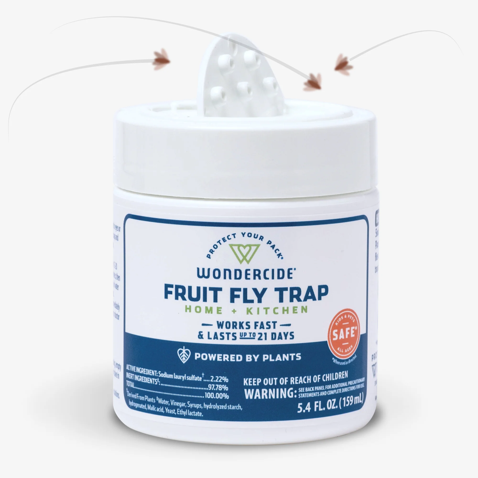 Fruit Fly Trap for Home + Kitchen - Image 7