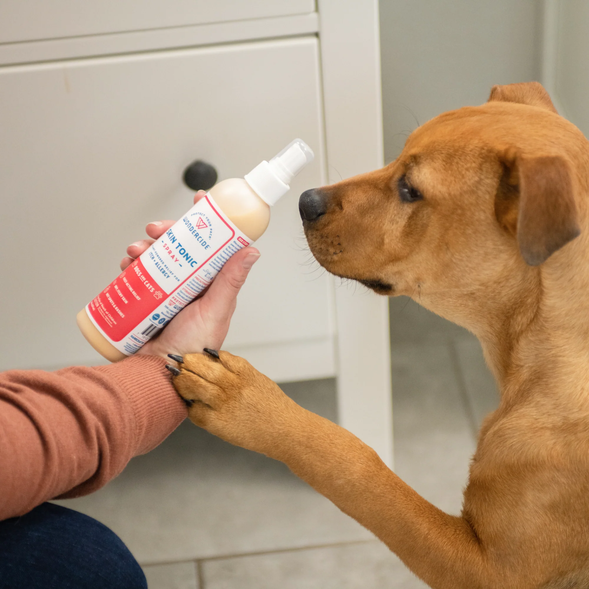 Pet Parent Pack | Shark Tank Bundle - Image 3