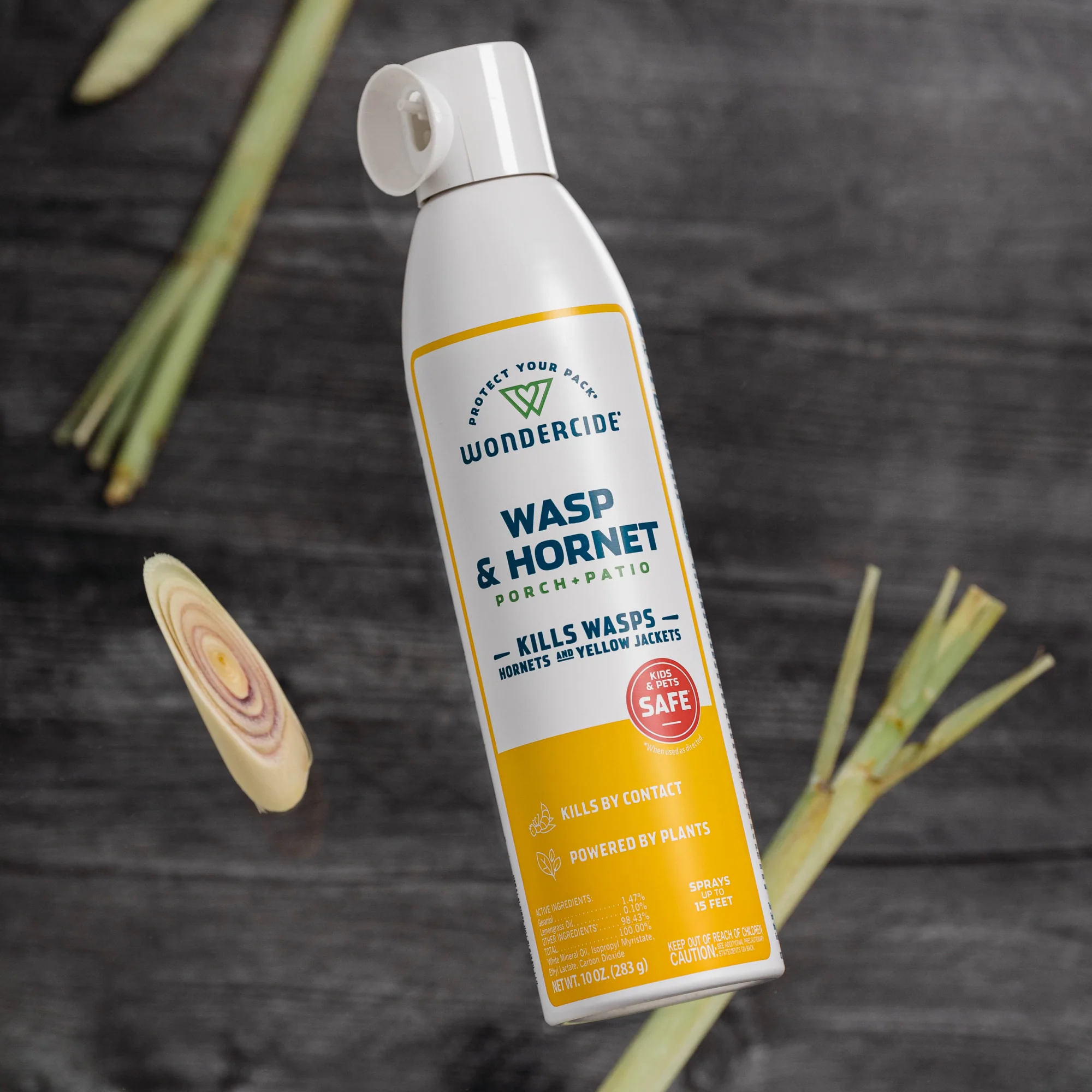 Wasp & Hornet for Porch + Patio - Image 3