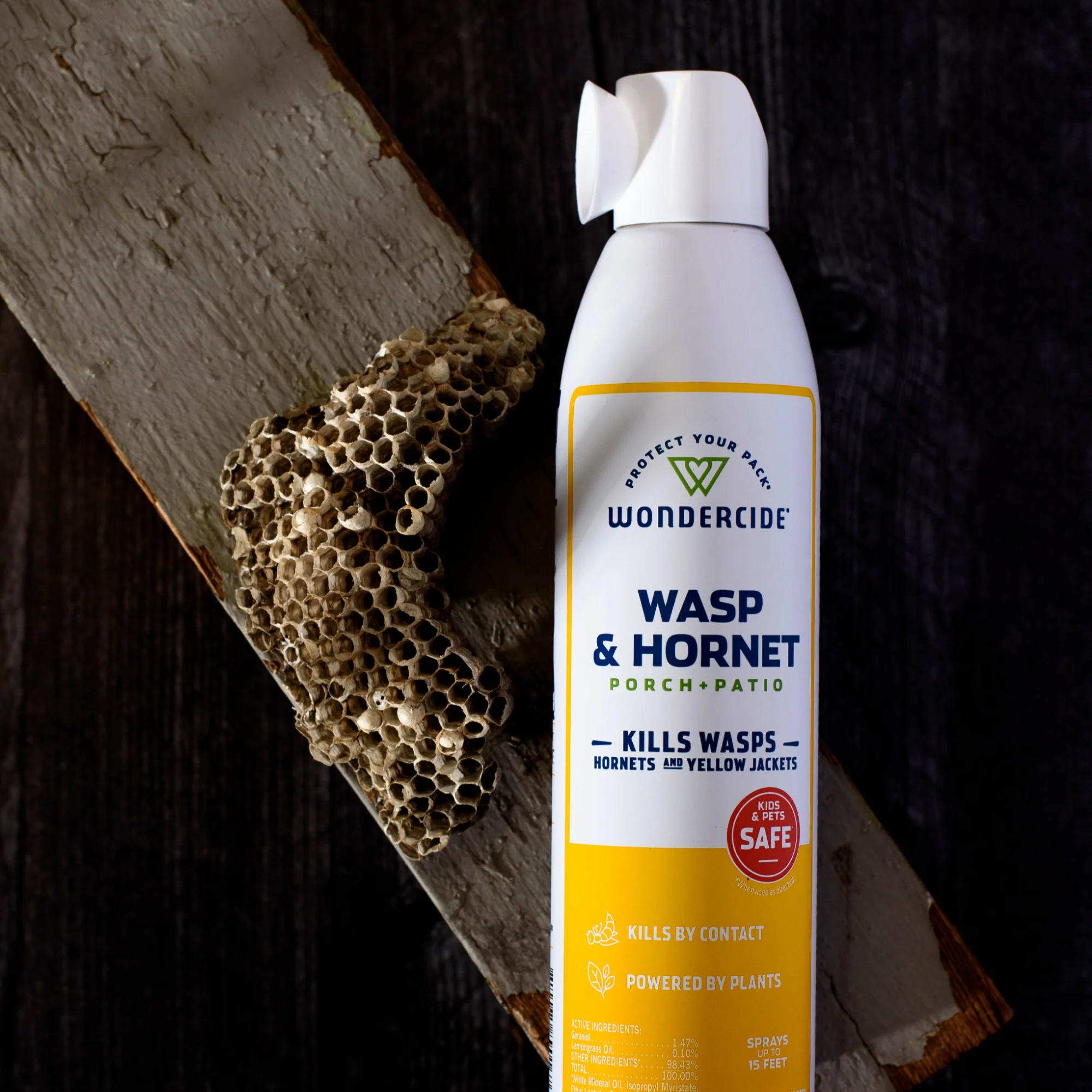 Wasp & Hornet for Porch + Patio - Image 4